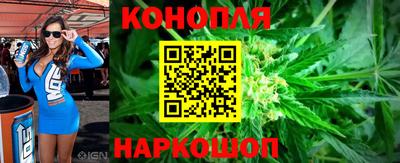 мяу мяу мука Славгород